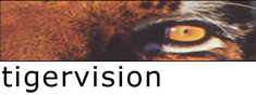 Tigervision - Video Production and Digital Media