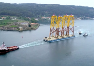 Offshore Wind Power and the Natural World